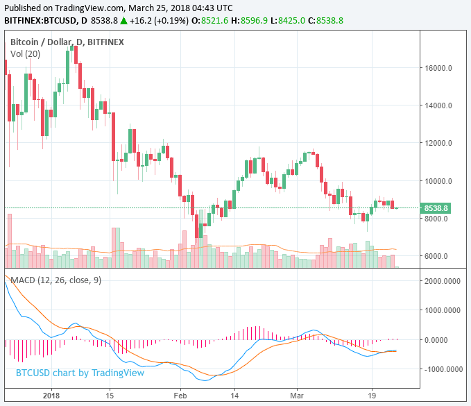 Cryptocurrency Market Takes a Minor Fall as Bitcoin and Ethereum Retreat 4%